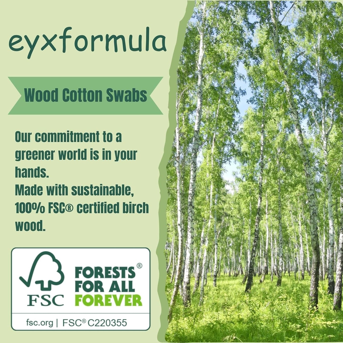 Eyxformula Pointed Cotton Swabs - 1000 Count Microblading Buds | 4 Inch Precision Tip Applicators for Makeup & Nail Care