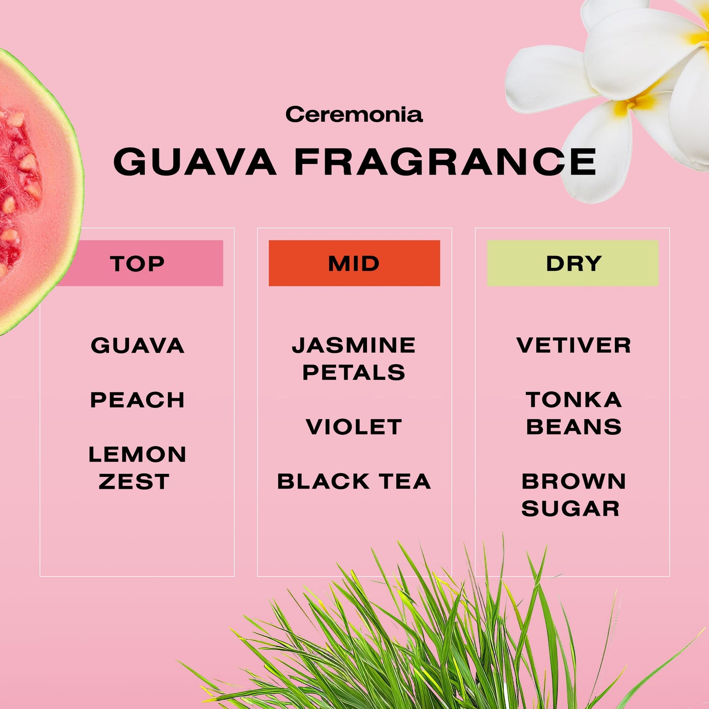 Ceremonia Guava Leave-In Conditioner | Deep Hydration Repair Cream for Damaged & Frizzy Hair | Boosts Shine, Reduce Frizz with Avocado Oil, 6.7 fl oz