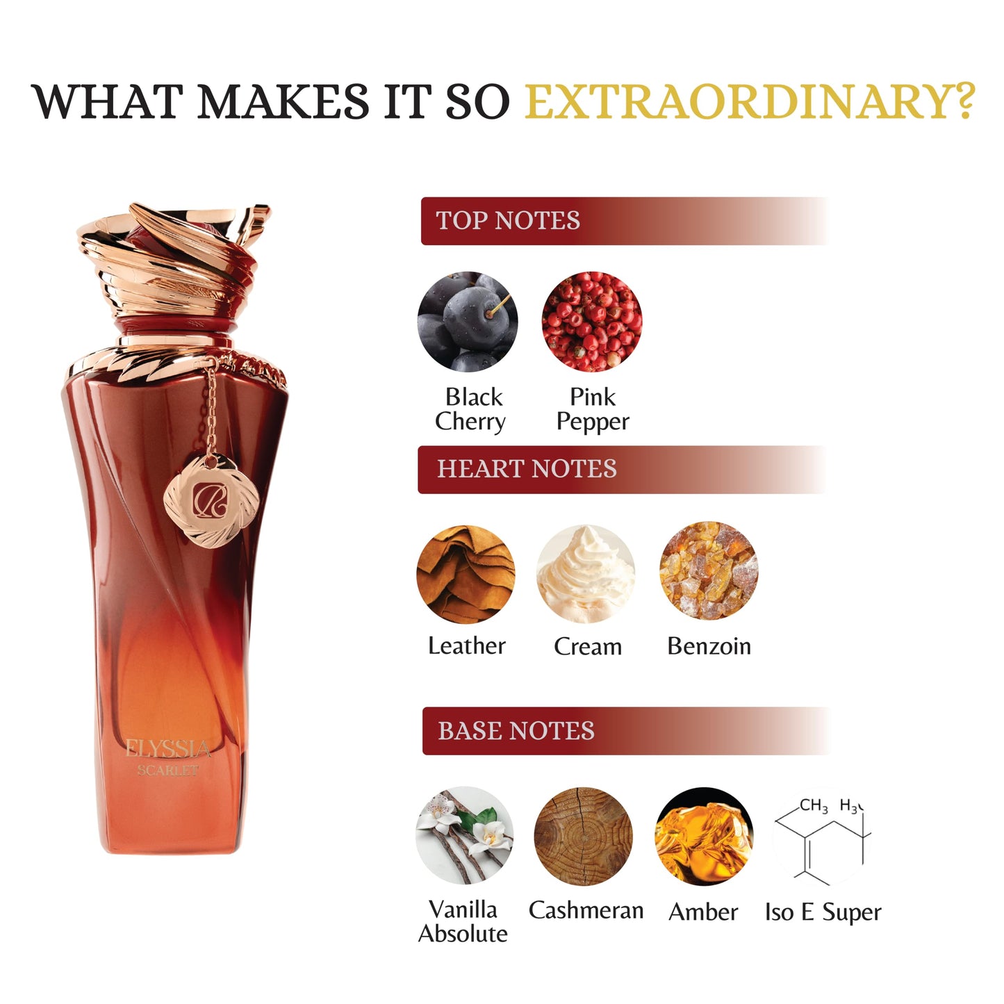 RiiFFS PARFUMS Elyssia Scarlet Extrait de Parfum for Women Long Lasting Fruity Floral Perfume with Cherry, Pepper & Vanilla Luxury Scent 100ml