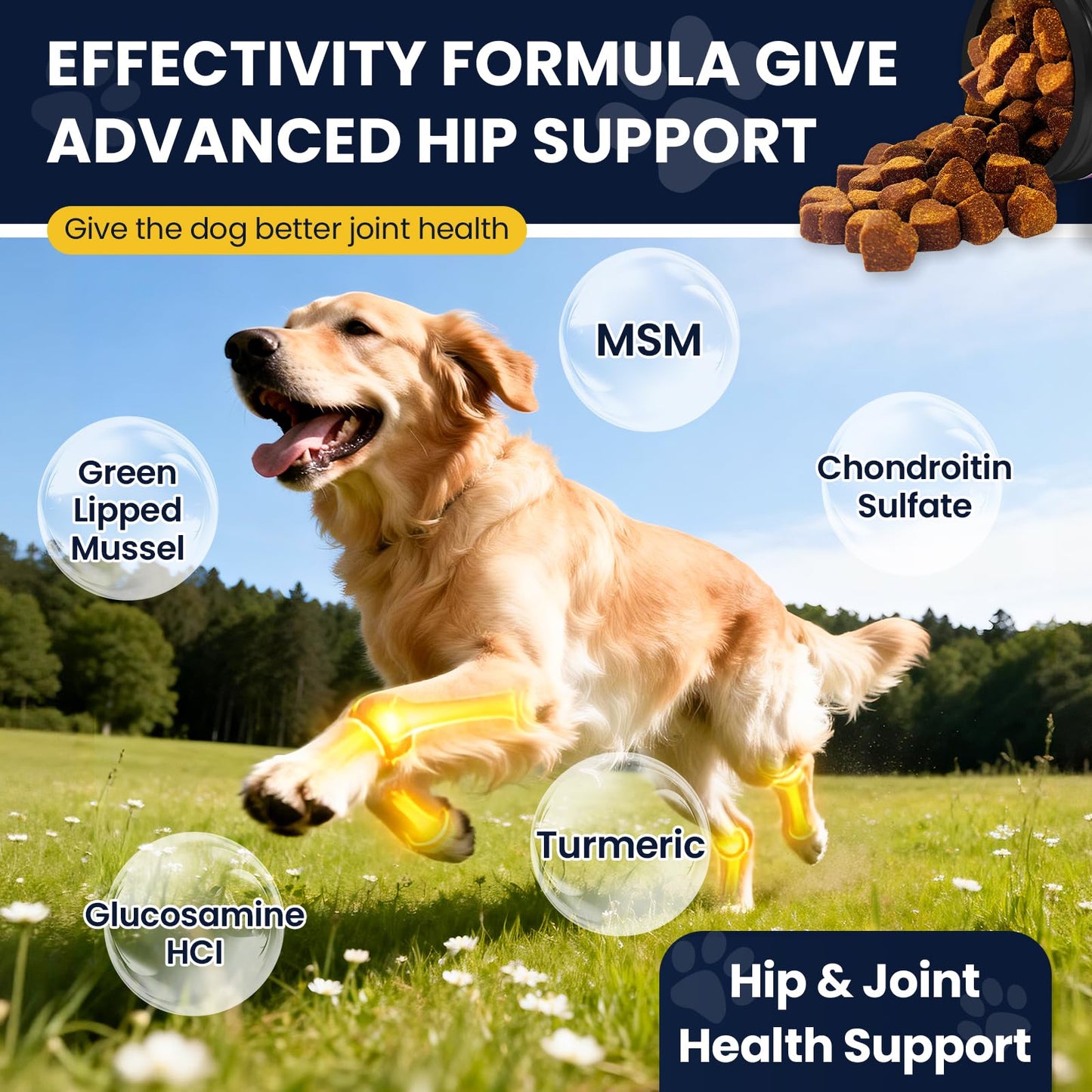 Hip and Joint Supplement for Dogs Dog Probiotics Glucosamine Chondroitin MSM Chew for Dog Arthritis Pain Relief Extend Joint Care, Probiotic for Digestive/Gut Health for Large/Small/Senior Breed Dogs
