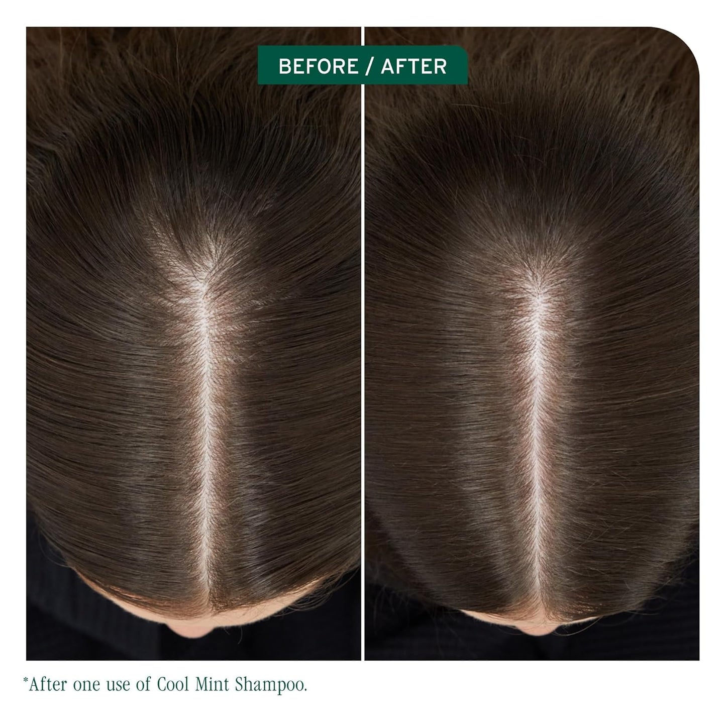 Biolage Cool Mint Shampoo - Refreshing Balancing Shampoo for Oily Scalp | Vegan, Paraben-Free, Mint & Glycerin Infused