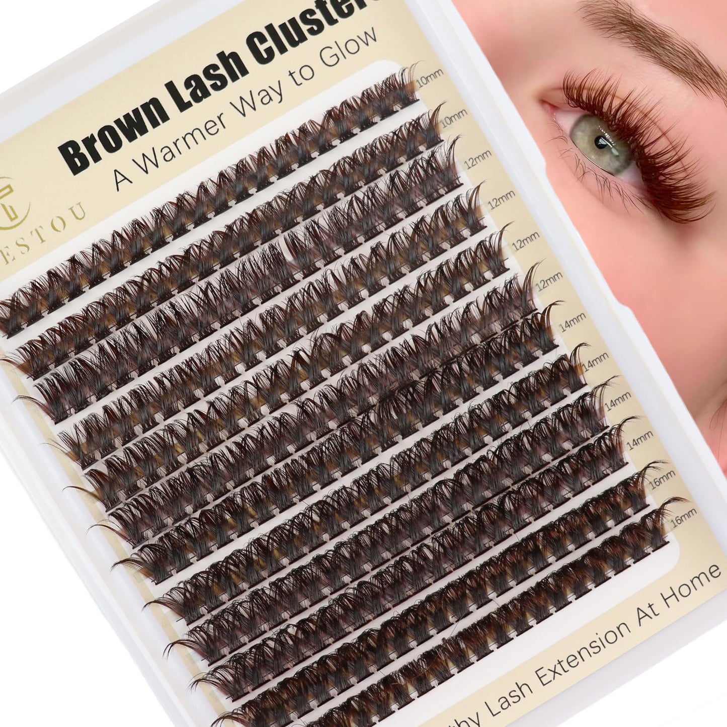 TEESTOU Dark Brown Lash Clusters 60D Medium Volume Brown Eyelash Clusters 10-16mm Wispy DIY Individual Lash Extensions D Curl for Everyday Wear 240pcs