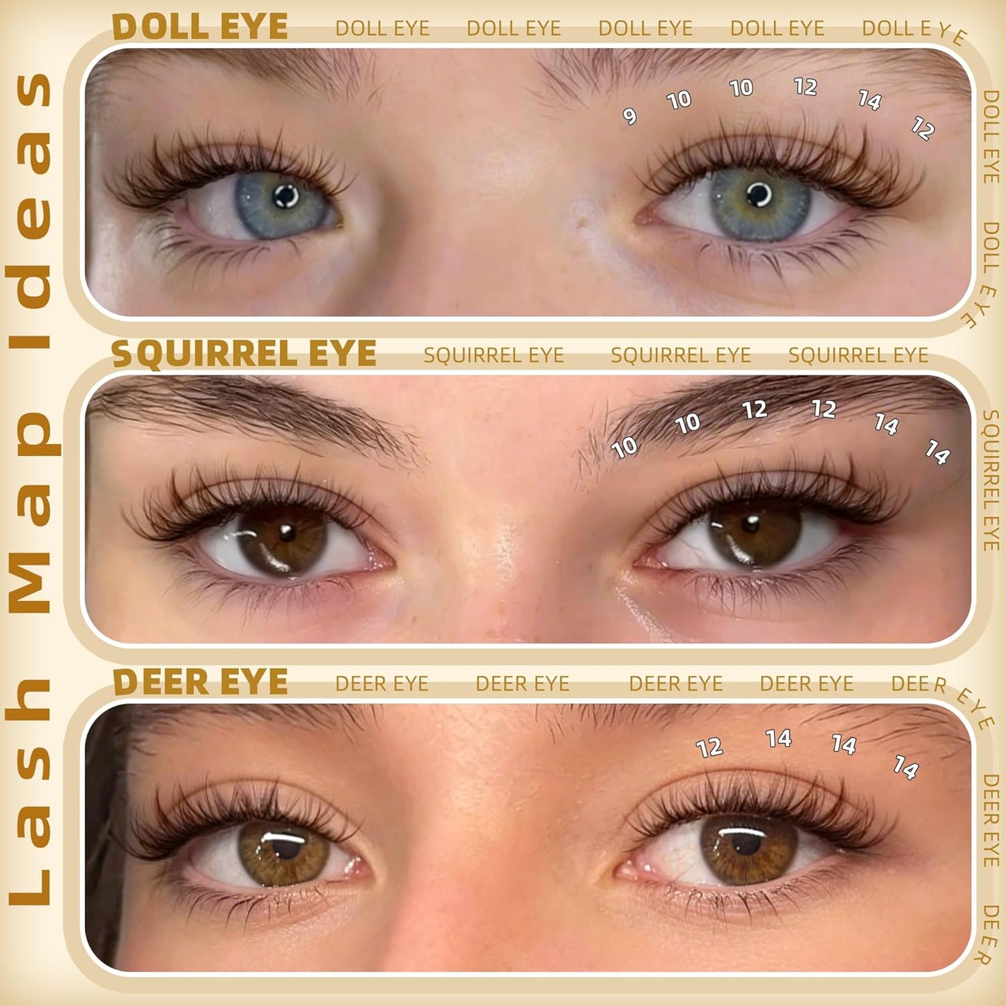 Spider Lash Clusters | Brown Wispy Eyelash Extensions - D Curly, Invisible Band, 8-14MM, 150 Pcs