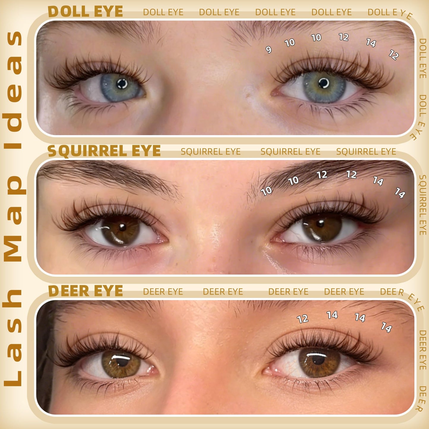 Spider Lash Clusters Brown Eyelash Clusters Breeze Wispy Cluster Eyelash Extensions Natural Lash Extensions D Curly with Invisible Band 8-14MM Individual Lashes 150Pcs Brown Eyelashes
