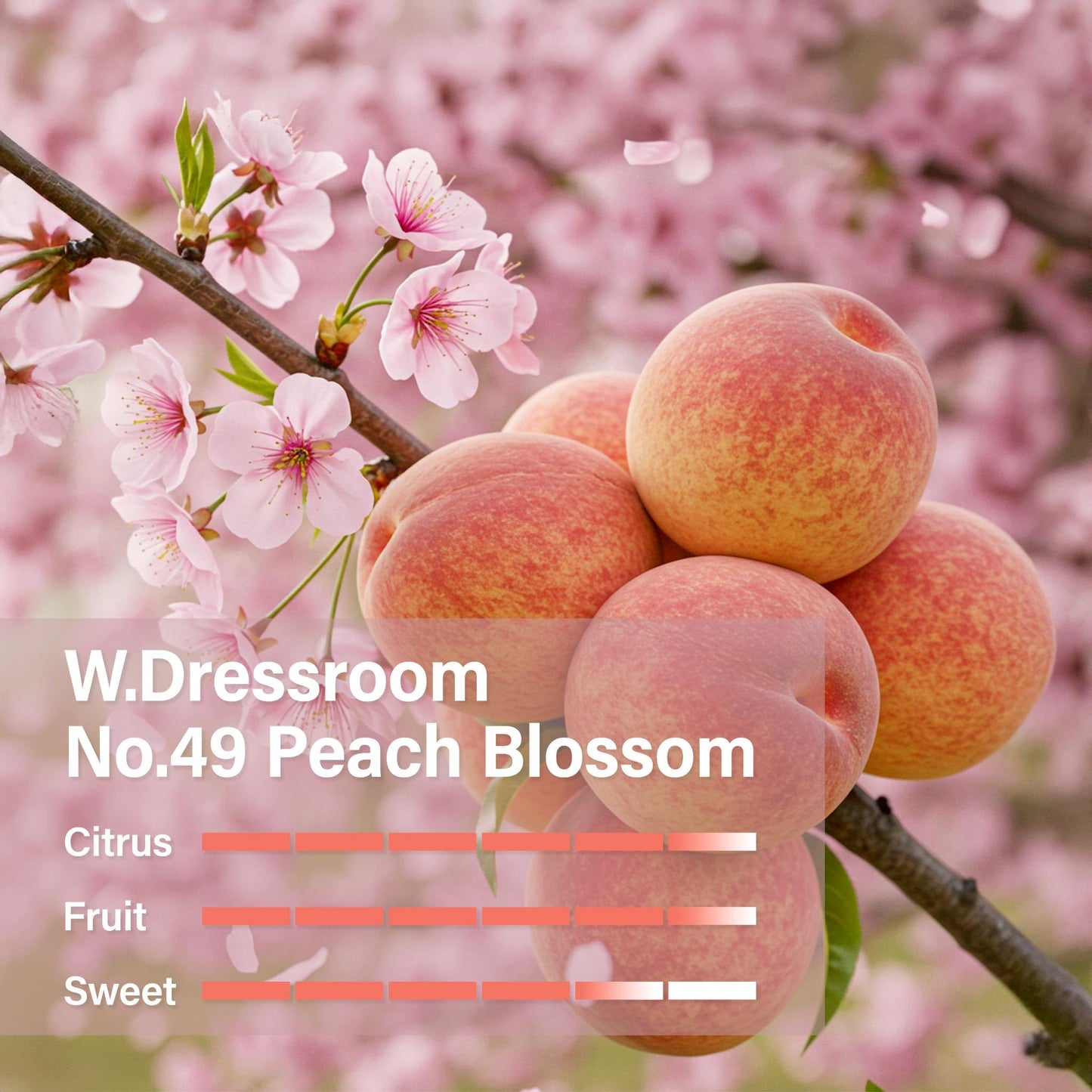 W.Dressroom No.49 Peach Blossom Hand Cream (1.69 fl oz 50 ml)