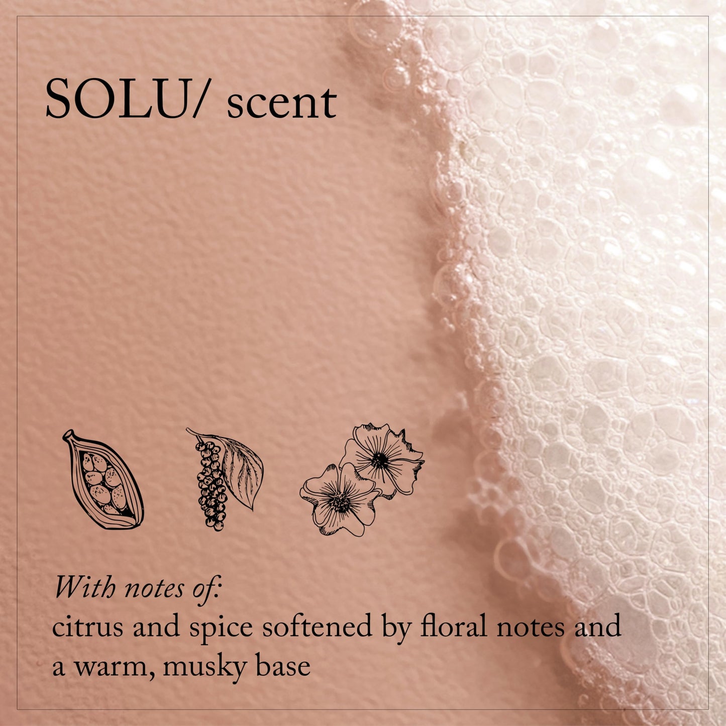 SOLU/Shampoo, 8.5 fl oz