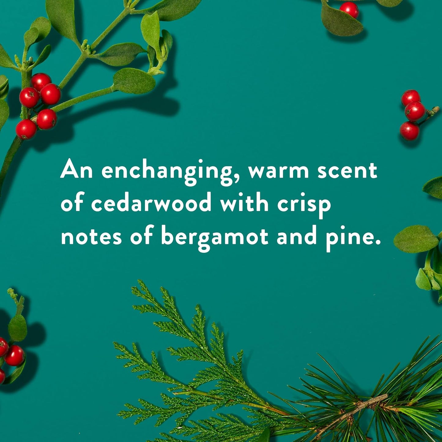 Native Body Wash - Holiday Edition Fresh Mistletoe Scent | Sulfate & Paraben Free, 18 oz for Soft, Hydrated Skin