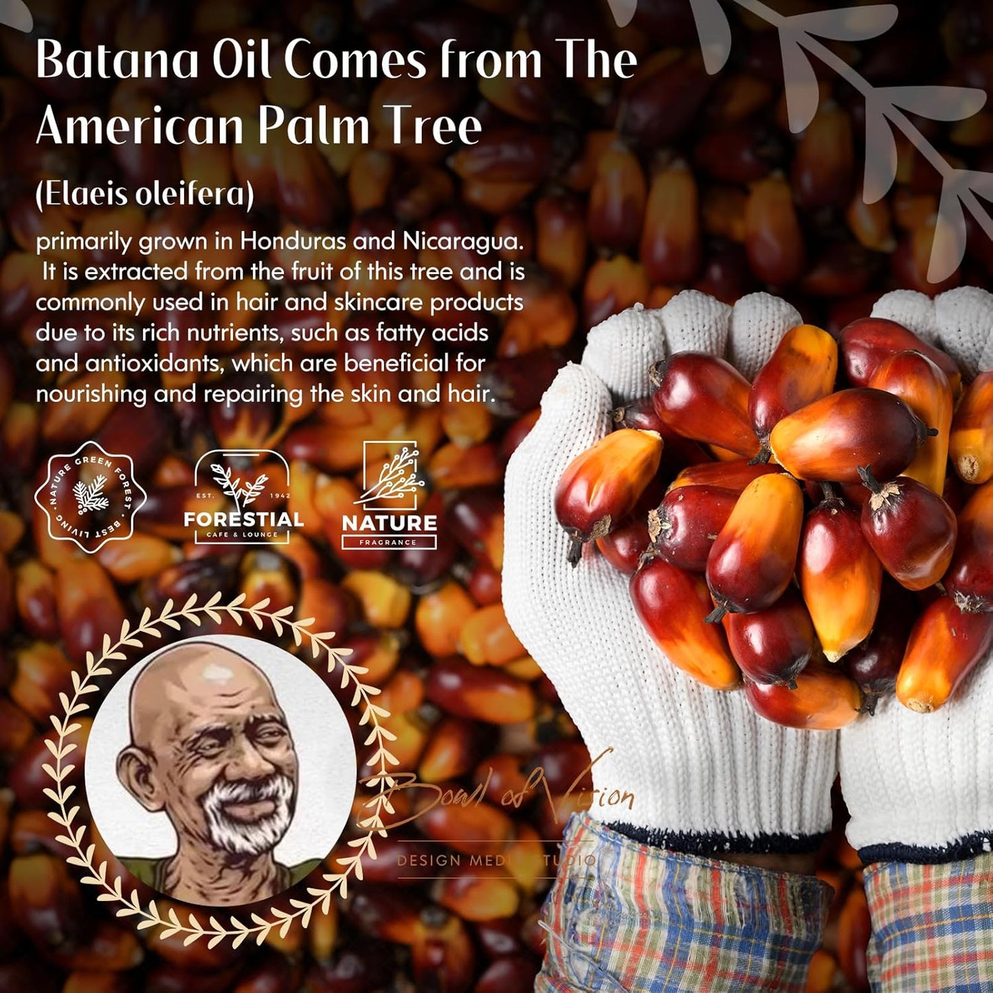 Batana Oil for Hair Growth - 100% Pure Organic Oil from Honduras | Restores Dry, Damaged Hair