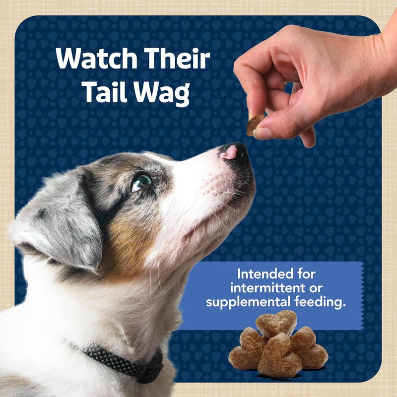 Blue Buffalo Soft Dog Training Treats - Natural Chicken Recipe with DHA | 19 oz Bag