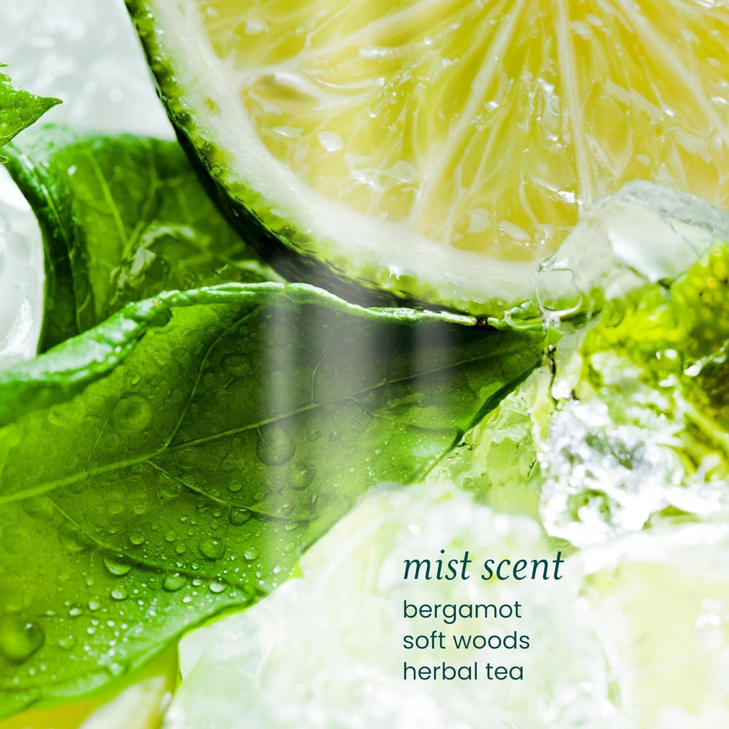 Detox Hair Treatment Mask - Lightweight Hydrating Scalp & Hair Care | Protects from Hard Water Buildup