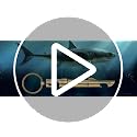 LKKCHER Shark Bottle Opener Keychain - 2-in-1 Corkscrew for Beer & Wine