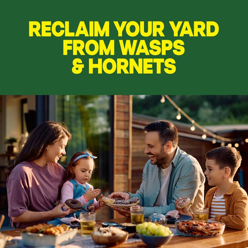 Raid Wasp & Hornet Killer Spray, Kills the Entire Nest, For Paper Wasps, Yellow Jackets, Mud Daubers and more, 14 oz (Pack of 2)