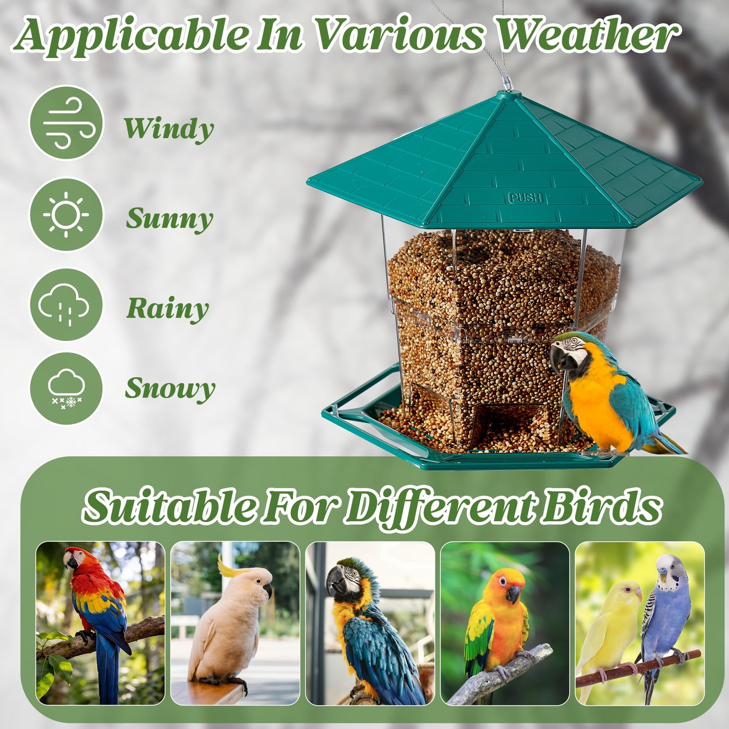 KSIA Klear Bird Feeder for Outdoor Hanging, Squirrel Proof Bird Feeders, Wild Birdfeeders Outside Hanging, Large Capacity Birdfeeder for Cardinal, Attracting Wild Birds, 1 Pack