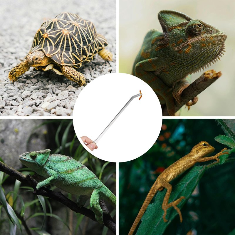 Fri4Free 2PCS Long Aquarium Tweezers - 10.6" Straight and Curved Tweezers, Stainless Steel Reptile Feeding tongs, Terrarium Aquascape Tools Feeder for Lizards, Bearded Dragon Snake Tank Accessories