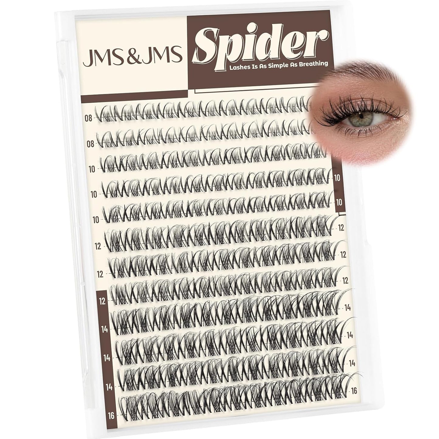 Spider Lash Clusters - Wispy Eyelash Extensions with Invisible Band | D Curly 8-16mm