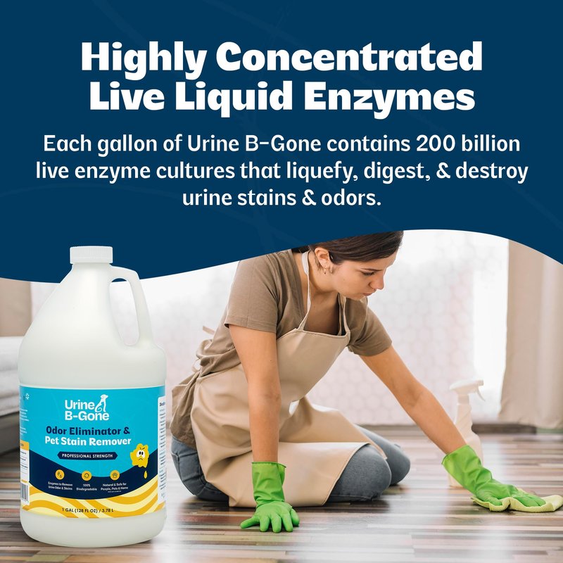 Urine B-Gone, Professional Enzyme Odor Eliminator & Pet Stain Remover, Human, Cat & Dog Urine Cleaner, Effective on Laundry, Carpets & More, Original Scent, 1 Gallon