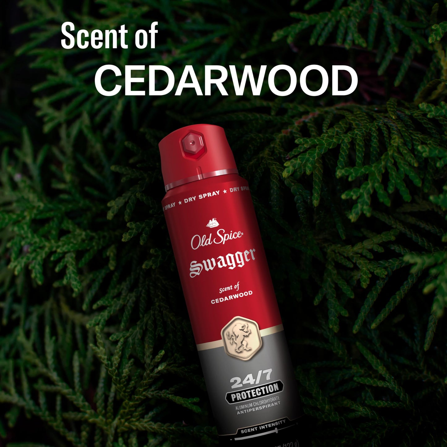Old Spice Dry Spray Antiperspirant Deodorant for Men, 24/7 Sweat & Odor Protection, 24/7 Sweat Defense & Lasting Freshness, Swagger with Cedarwood Scent, 4.3 oz (Pack of 3)