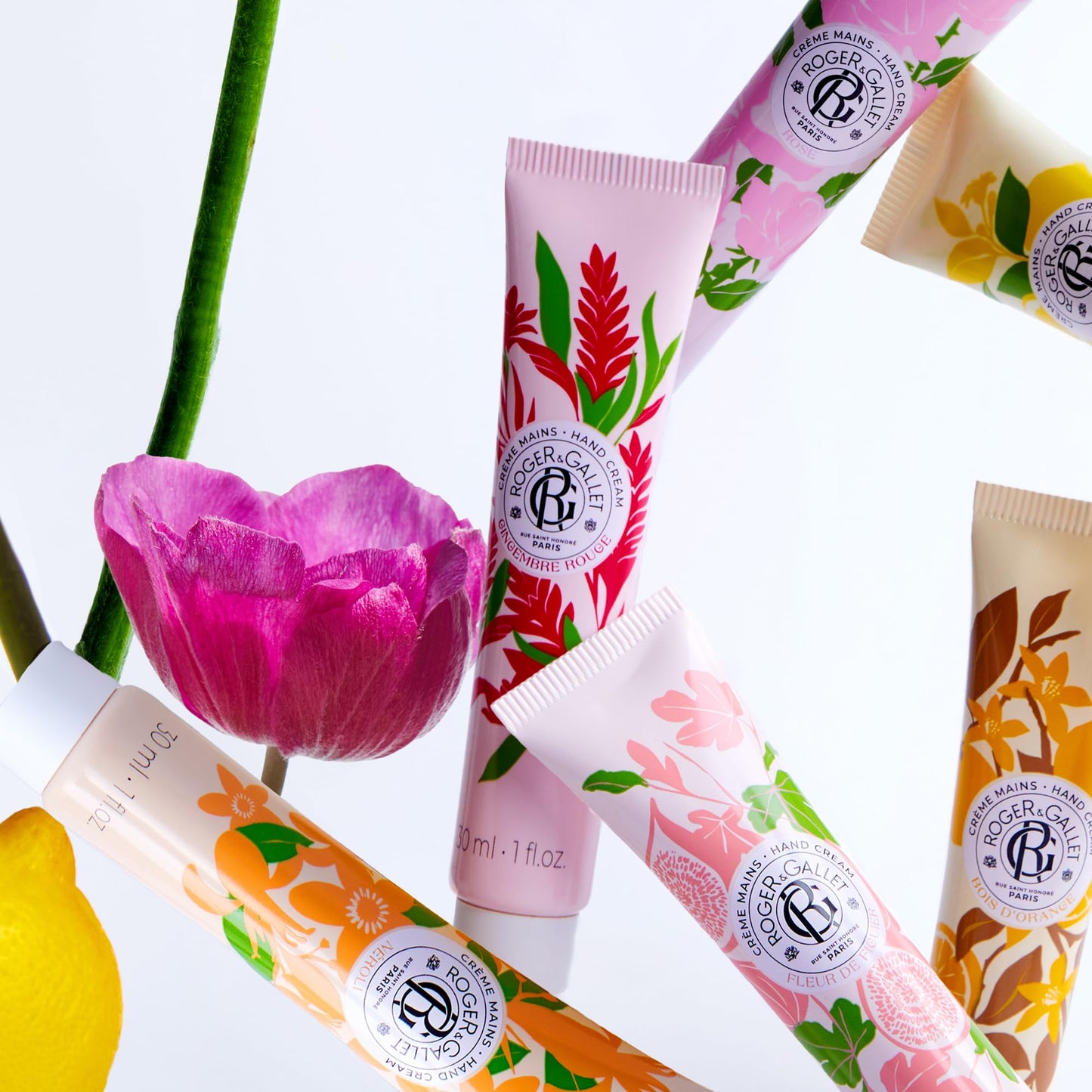 ROGER & GALLET Hand & Nail Cream, Hydrating Moisturizer for Dry Skin & Cuticles with Shea Butter & Almond Oil, Non-Greasy Formula (Rose | 1 oz)