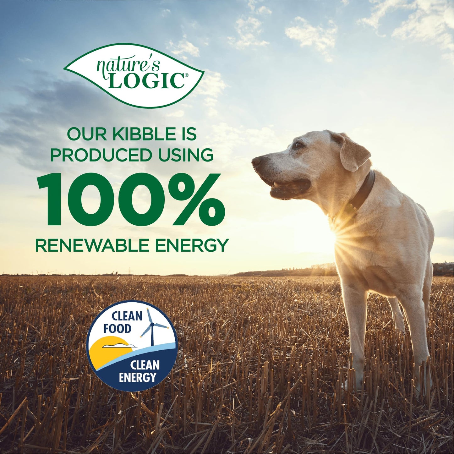Nature's Logic Dehydrated Bone Broth Powder - 100% Natural Dog & Cat Topper - Rich in Glucosamine & Chondroitin - Boosts Immune System - Gluten-Free, No Synthetic Ingredients - Turkey, 6oz