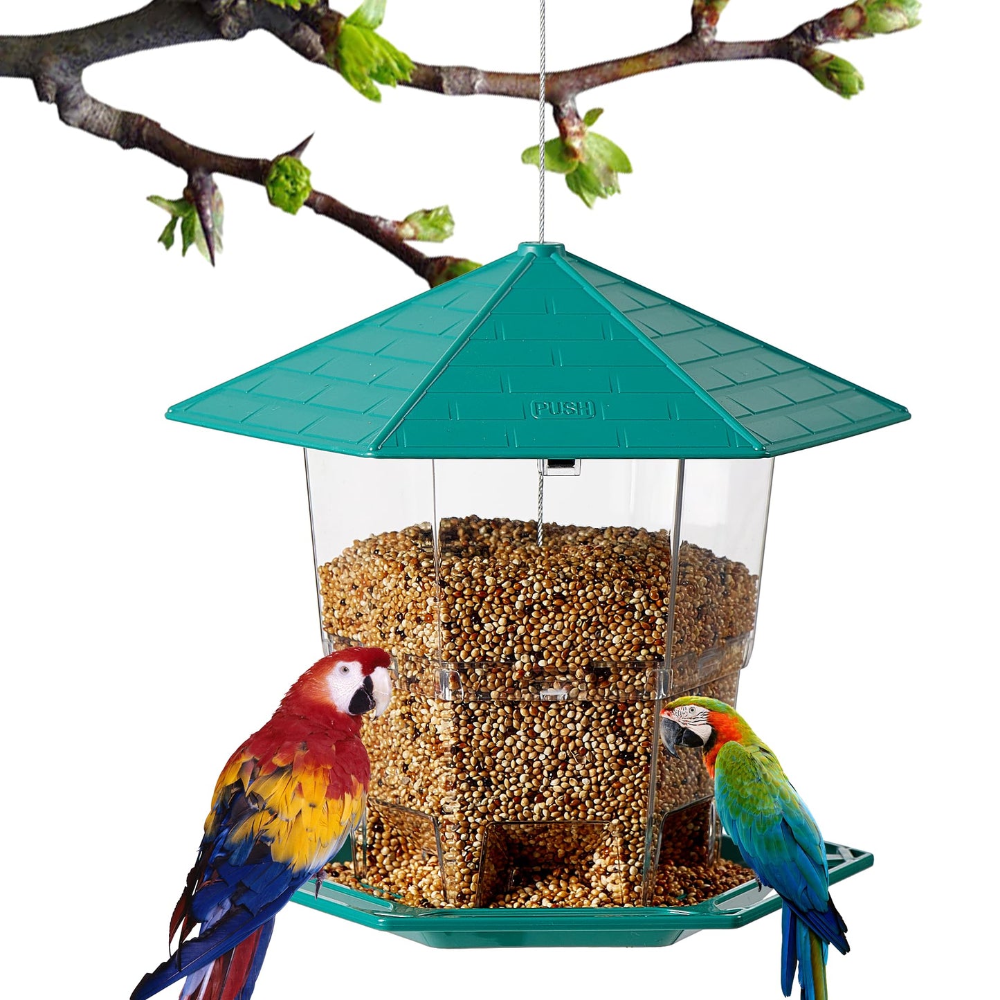 KSIA Klear Bird Feeder for Outdoor Hanging, Squirrel Proof Bird Feeders, Wild Birdfeeders Outside Hanging, Large Capacity Birdfeeder for Cardinal, Attracting Wild Birds, 1 Pack