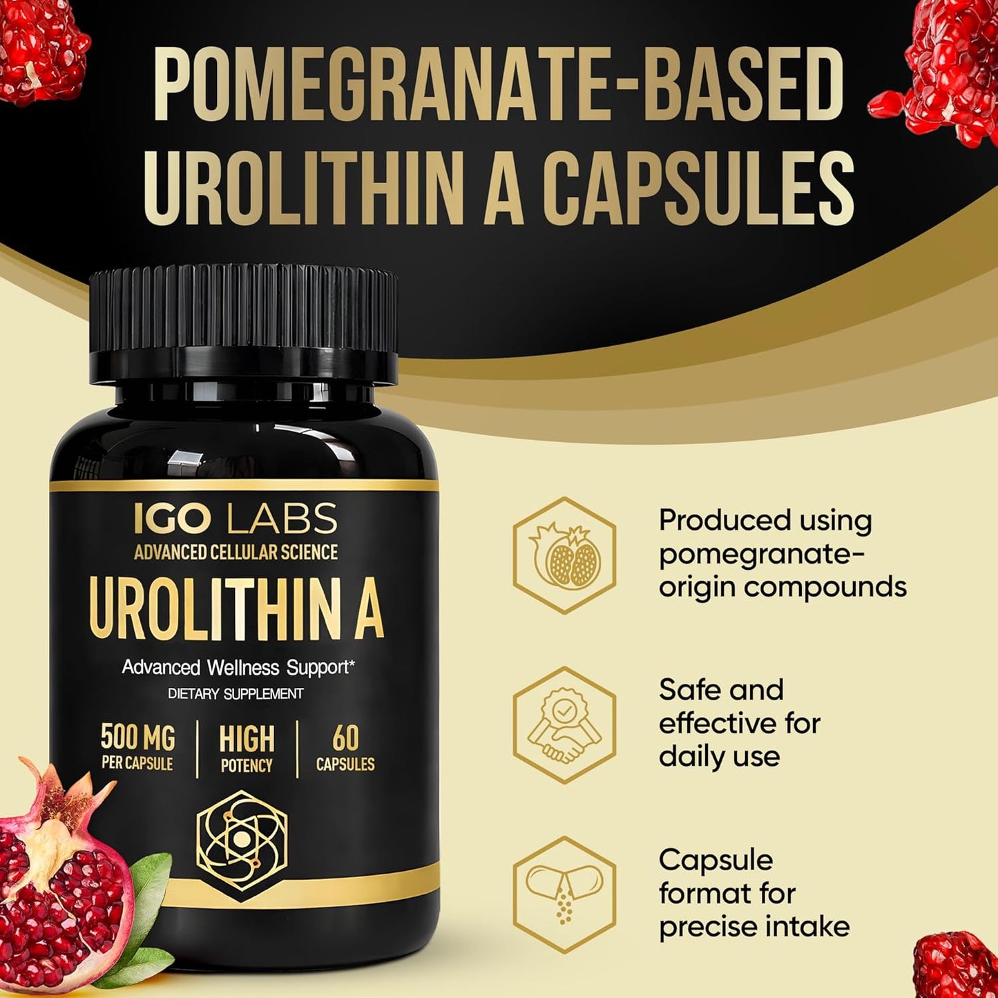 Urolithin A Capsules 500mg | High Purity Dietary Supplement for Daily Wellness - 60 Count