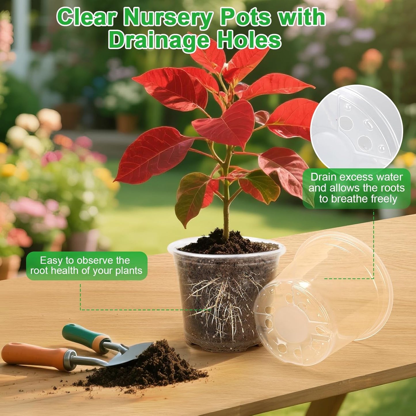 Large Clear Nursery Pots - 10/8/6/5 Inch with Drainage Holes | 16 Pack Plastic Plant Pots for Succulents & Seedlings