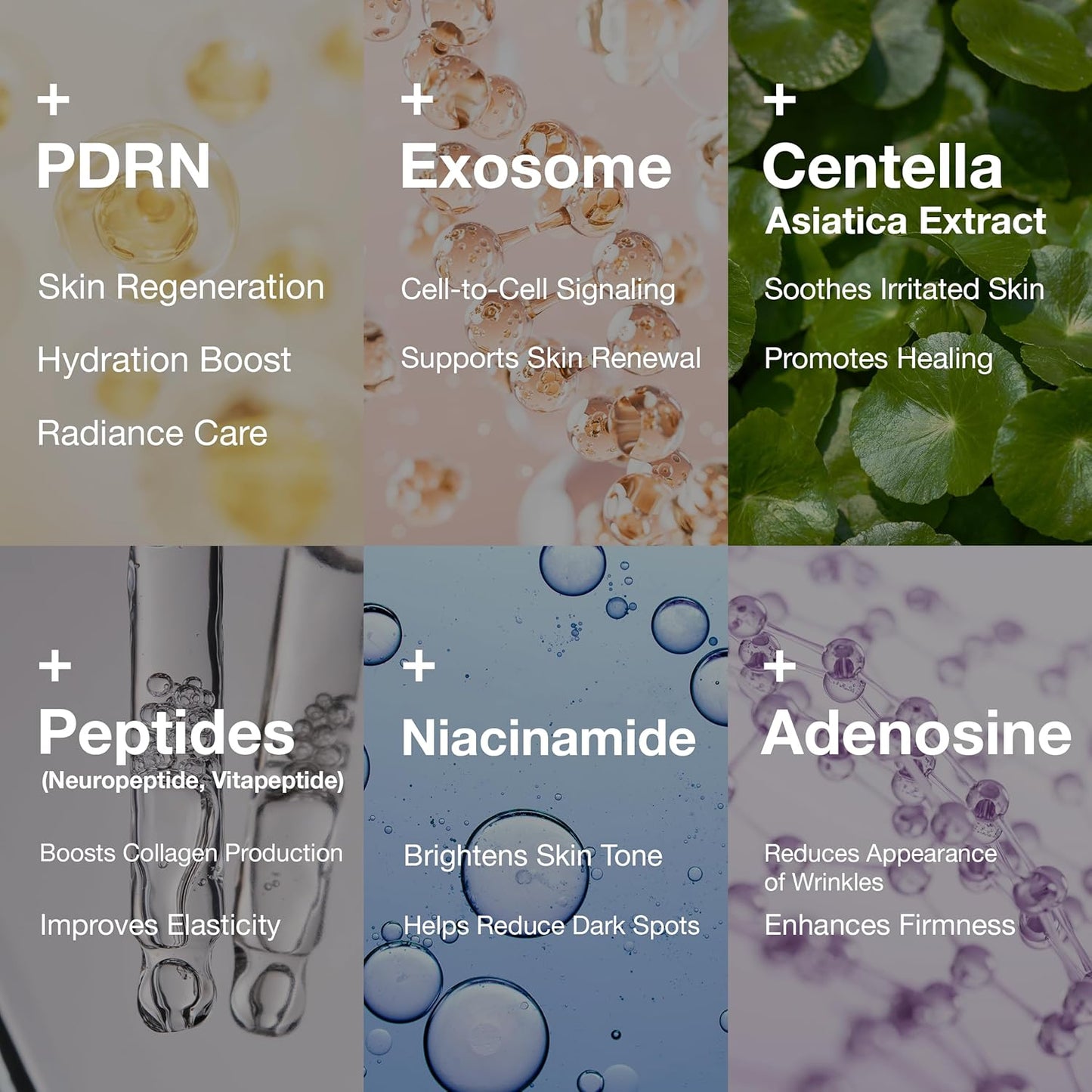 PDRN 1000 Plus Cream - Polydeoxyribonucleotide Sodium for Skin Repair | 20g - Made in Korea