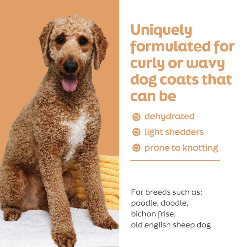 True Coat Curly or Wavy Dog Shampoo, 5 in 1 Detangles & Conditions with Oat Milk, Coconut Oil & Shea Butter, 16 oz