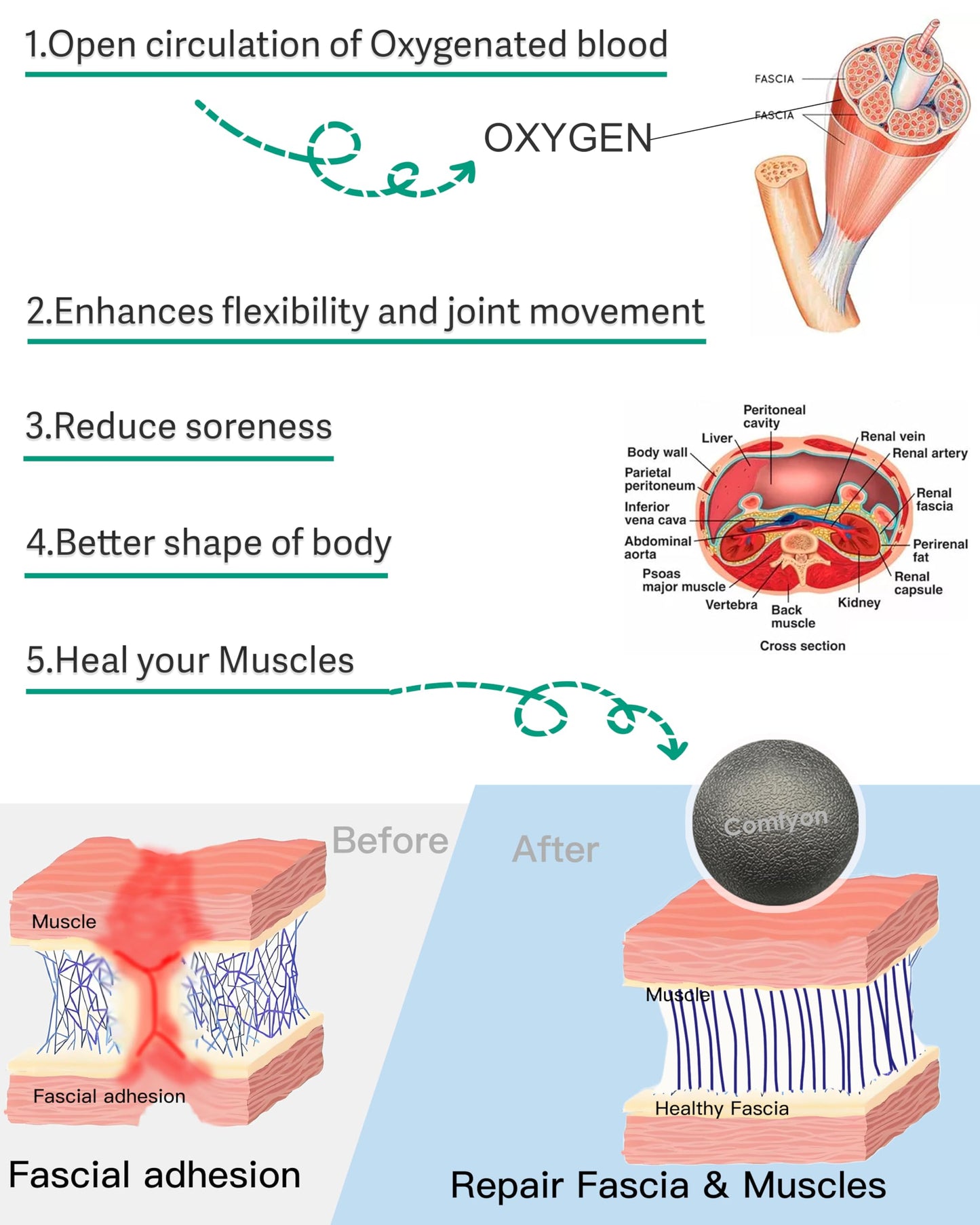 Plantar Fasciitis Relief Massage Ball – Lacrosse Ball, Foot Massage Roller & Myofascial Release Ball for Foot Pain, Trigger Point Therapy, Hard Ball for Deep Tissue & Fascia Massage