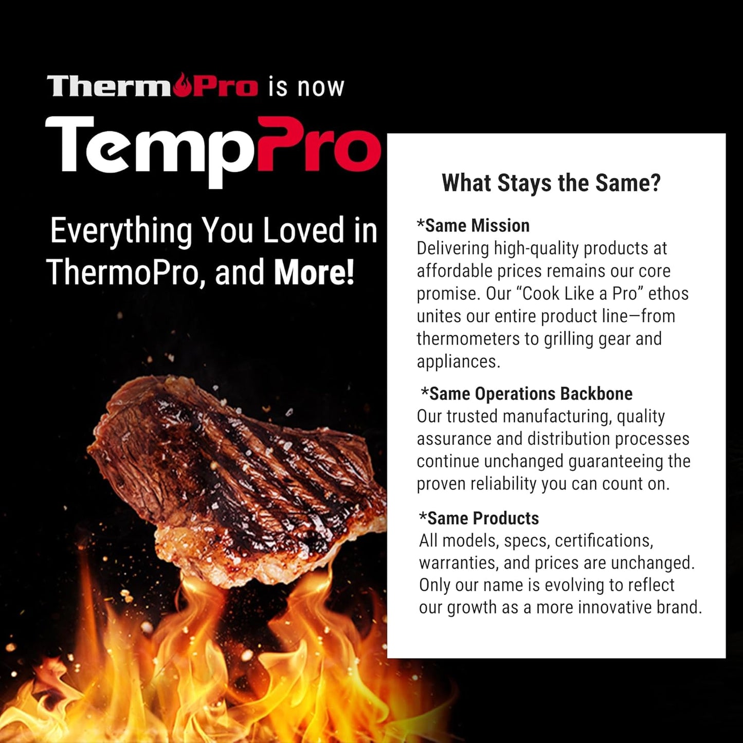 Digital Meat Thermometer - Instant Read 1 Sec Cooking Tool | Motion-Sensing BBQ & Frying Thermometer for Father's Day Gift