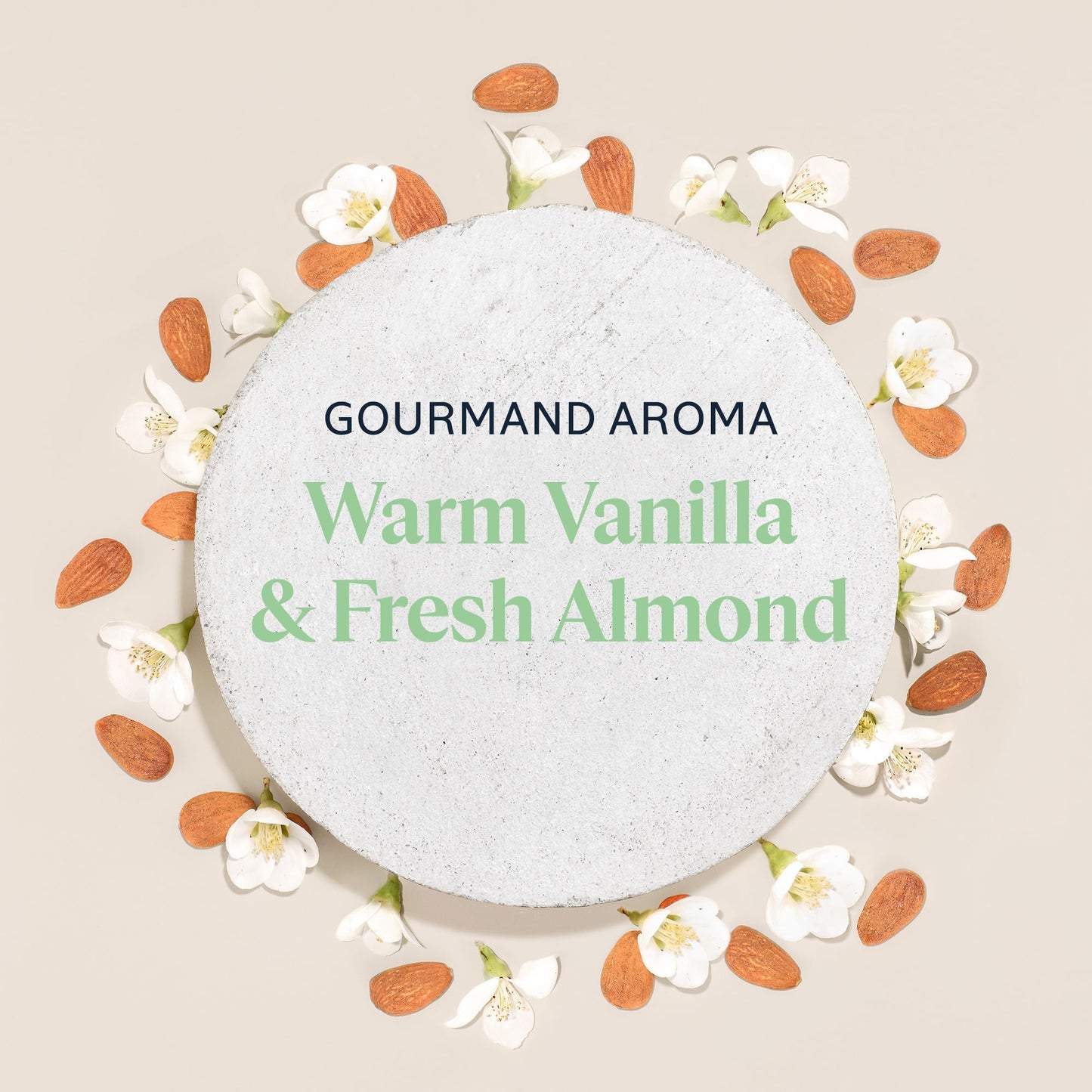 L'OCCITANE Almond Milk Concentrate 6.90 oz