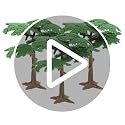 Toyvian Mini Artificial Pine Cypress Trees - Set of 3 for Dioramas
