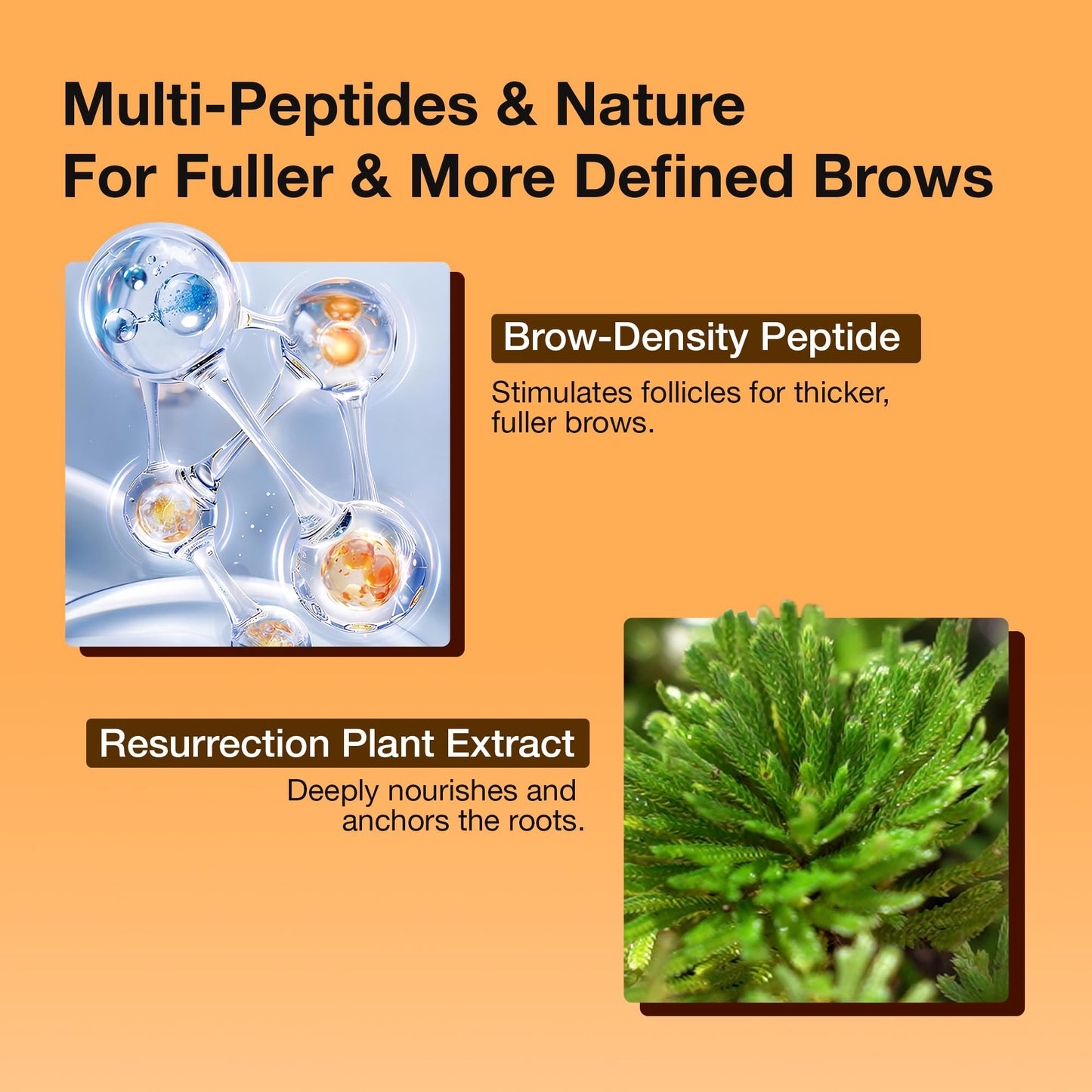 Eyebrow Growth Serum with 5 Peptides & Resurrection Plant, Supports Fuller, Healthier-Looking Brows, Roll-On for Brows, 8ml for Men & Women