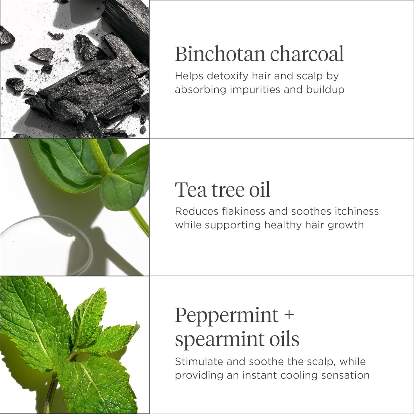 Briogeo Scalp Revival Charcoal & Tea Tree Treatment - Hydrating Leave-In Serum for Dry, Flaky Scalp | 1 oz