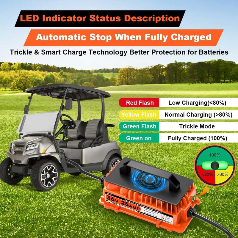36 Volt 25 AMP Golf Cart Charger for EZGO TXT 36V Golf Cart Battery Charger with 2-Pin D Style Plug Lead-Acid Battery Charger