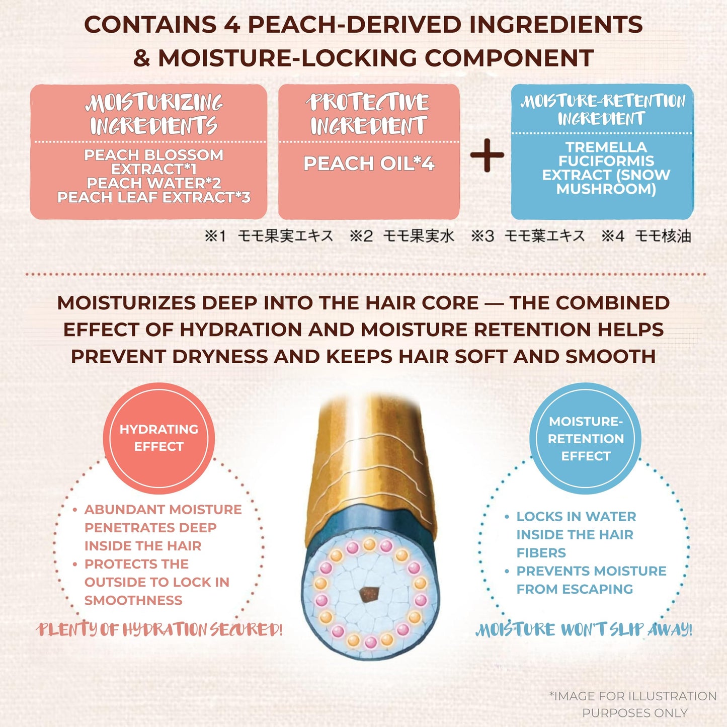 momori/Rich Moisture Hair Cream – Deep Repair & Frizz Control for Thick, Damaged Hair, Peach Scent/ 5.3 oz