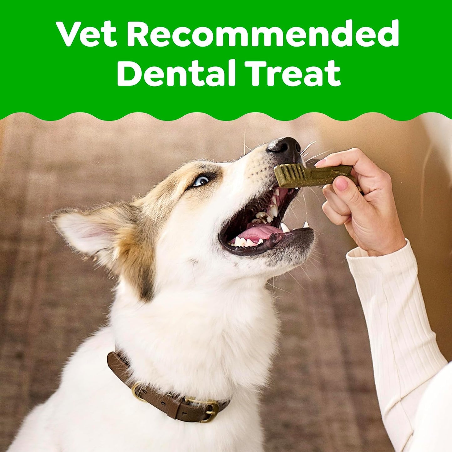 Greenies Natural Dental Dog Treats - Veterinarian-Recommended Chews | Regular Size, Original Flavor, 36 oz. Pack