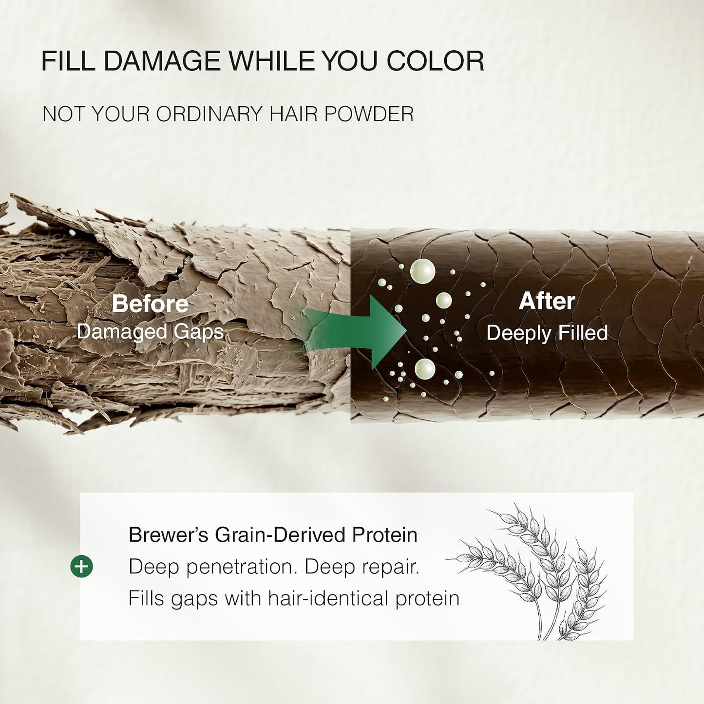 Natural Brown Korean Hair Dye - Ammonia-Free, PPD-Free Color Powder for 100% Gray Coverage | 3 Packets