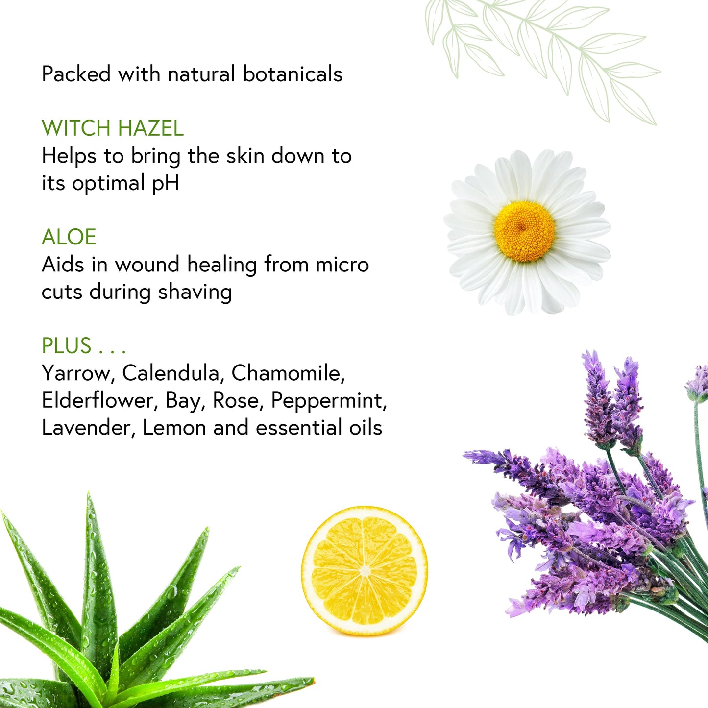 Honeybee Gardens Soothe & Refresh Herbal Aftershave with Aloe & Witch Hazel for Men - Florida - Cool and soothing citrus | Gluten-Free, Vegan, Cruelty-Free, 4 Fl Oz