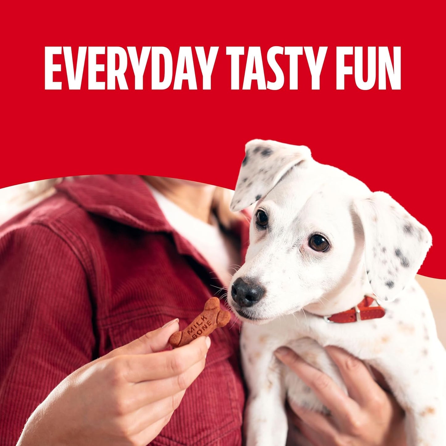 Milk-Bone Soft & Chewy Dog Treats - Real Beef & Filet Mignon Flavor | 25 Ounce Canister
