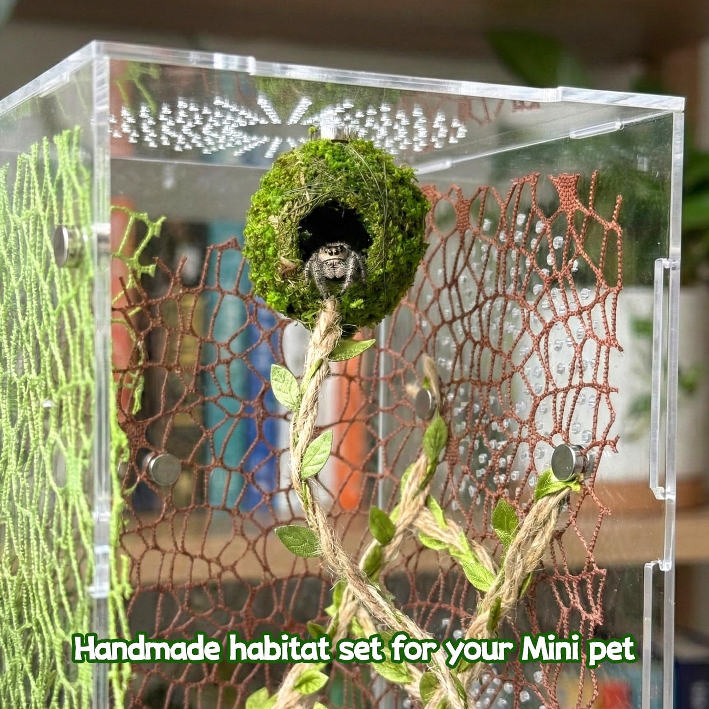 Magnetic Jumping Spider Hideout,Habitat Décor Kit - Handmade Moss Hideout with Climbing Rope,Hemp Rope Bridge,2Pcs Climbing Web& Loose Moss,Fun Enclosure Accessories for Climbing & Hiding (4.5cm)