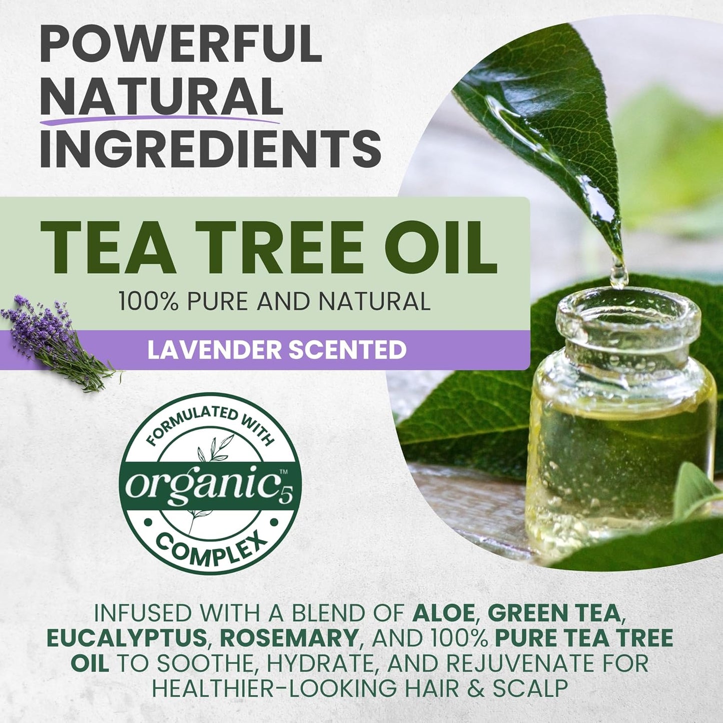 Tea Tree Lavender Shampoo & Conditioner Set - Soothes Dry, Itchy Scalp | 16 fl oz Each