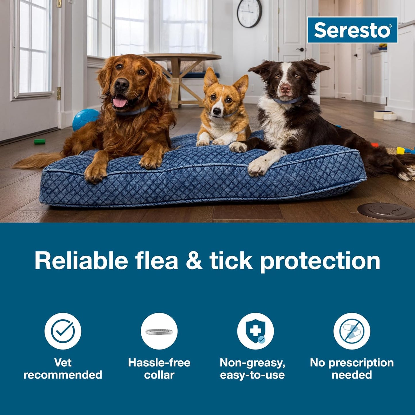 Seresto Flea & Tick Collar for Dogs Over 18 lbs - Vet-Recommended | 8-Month Treatment & Prevention