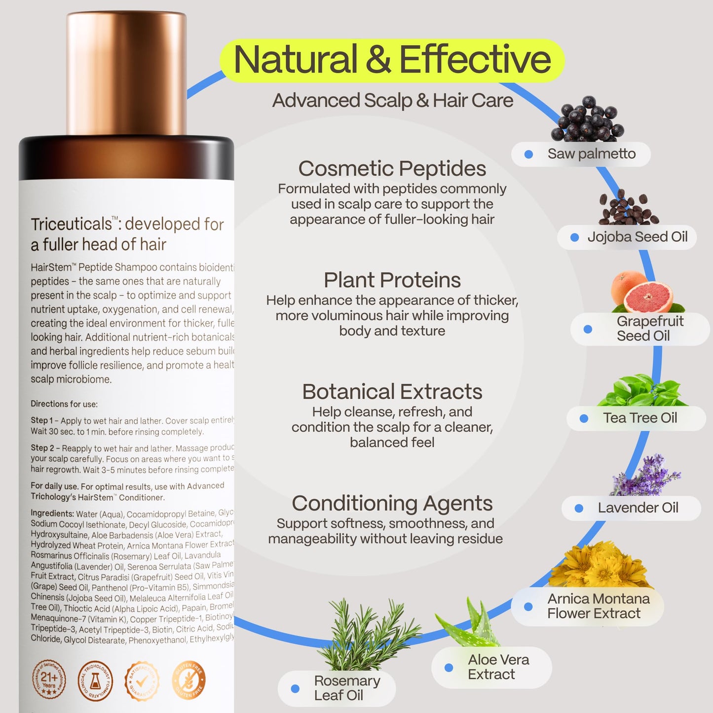 Hairstem™ Peptide Shampoo for Hair Growth | Peptide-Infused for Fuller, Stronger Looking Hair | Copper Tripeptide-1, Biotinoyl & Acetyl Peptides + Botanical Nutrients