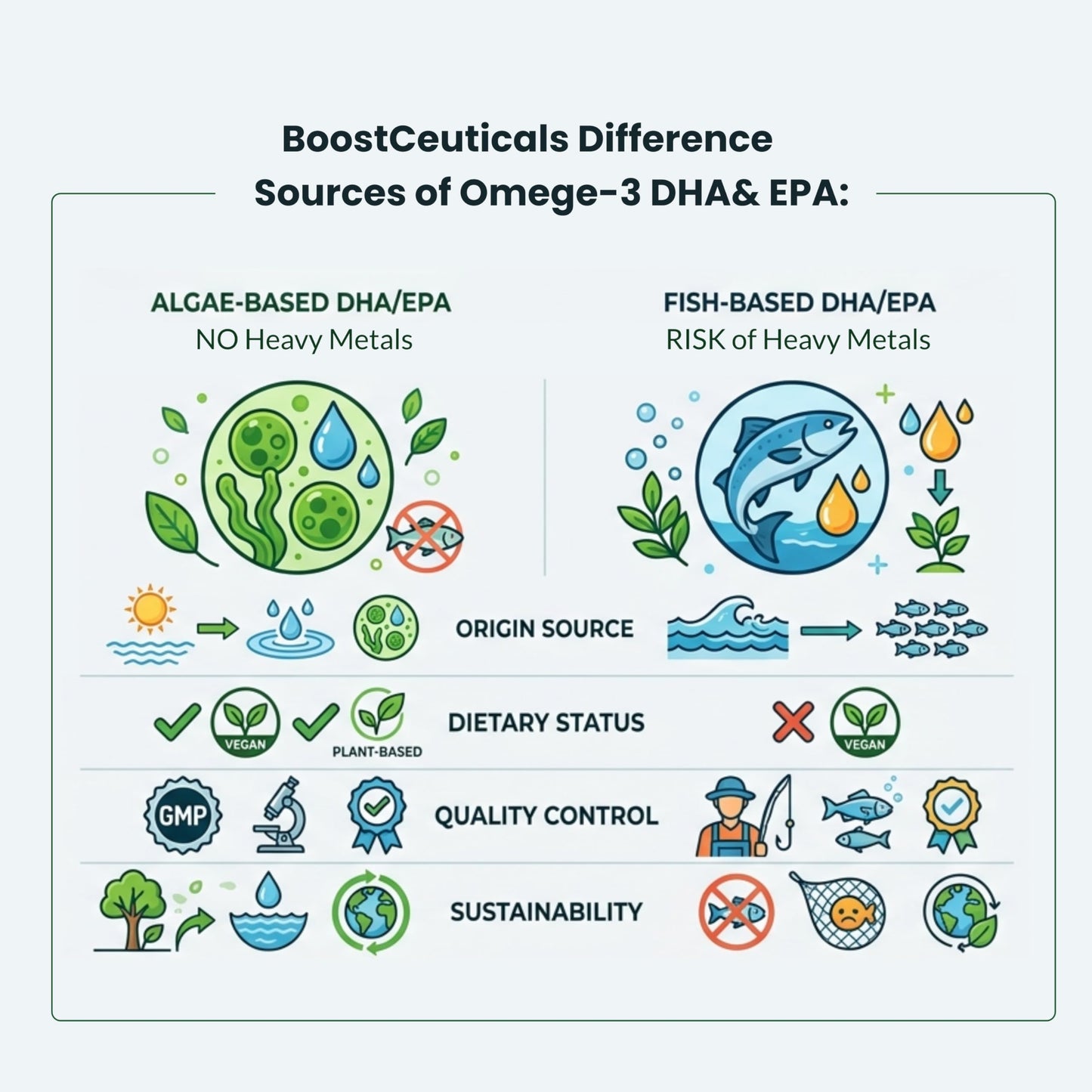 Vegan Omega 3 Algae DHA 410mg Supplement | No Fishy Aftertaste | Heart Brain | Schizochytrium sp DHA EPA Algae Oil 60ct