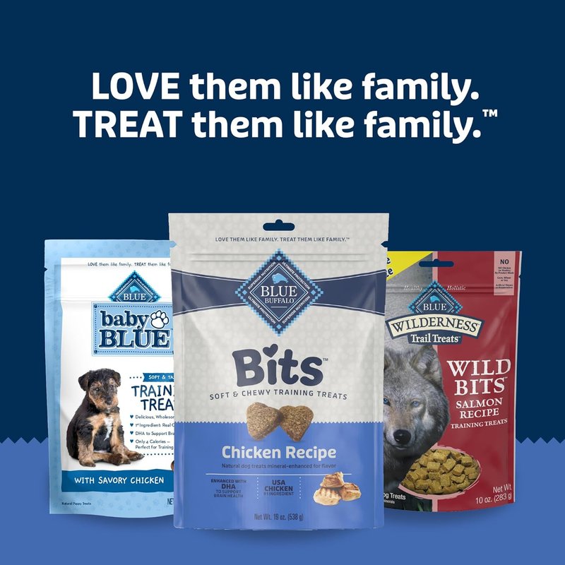 Blue Buffalo Soft Dog Training Treats - Natural Chicken Recipe with DHA | 19 oz Bag