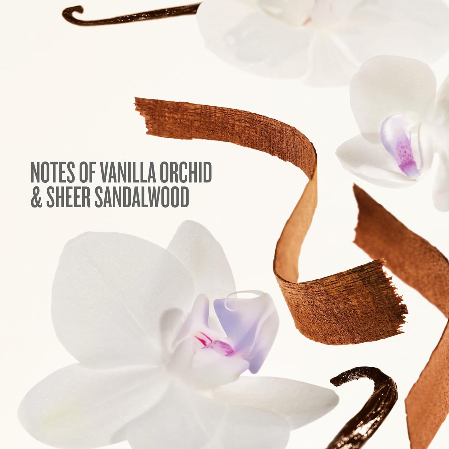 Delicia Drench Vanilla Body Care Gift Set for Women - Moisturizing Body Butter, Shower Oil & Cheirosa 59 Perfume Mist