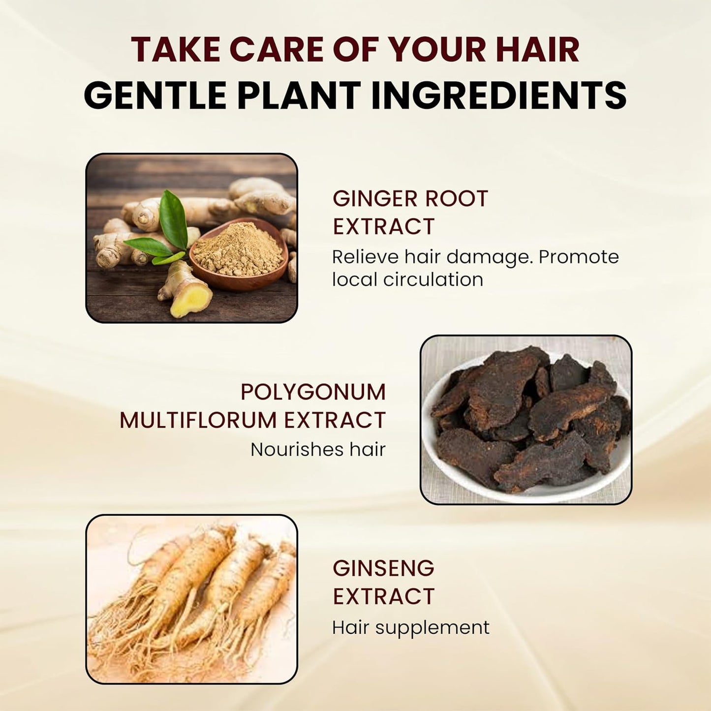 Hair Dye Comb System - Natural Herbal Formula Black Color Cream Shampoo | 400ml for Long-Lasting Results