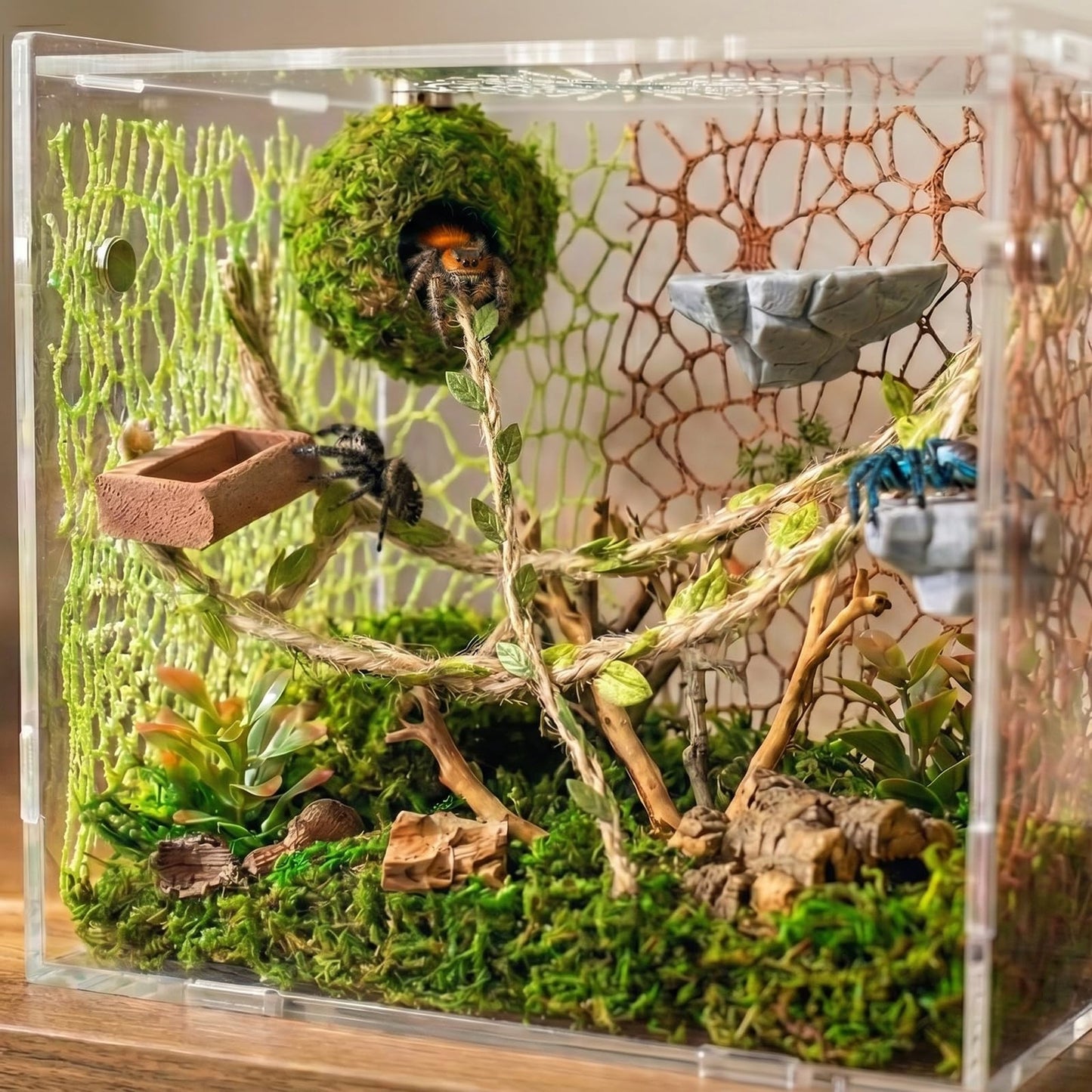 Jumping Spider Enclosure Accessories Kit - Magnetic Moss Ball Hideout, 2 Rock Ledges, Feeding Bowl, Climbing Mesh Nets & Rope Ladder - Natural Forest Habitat Decor for Regal (Moss Cave with Rope)
