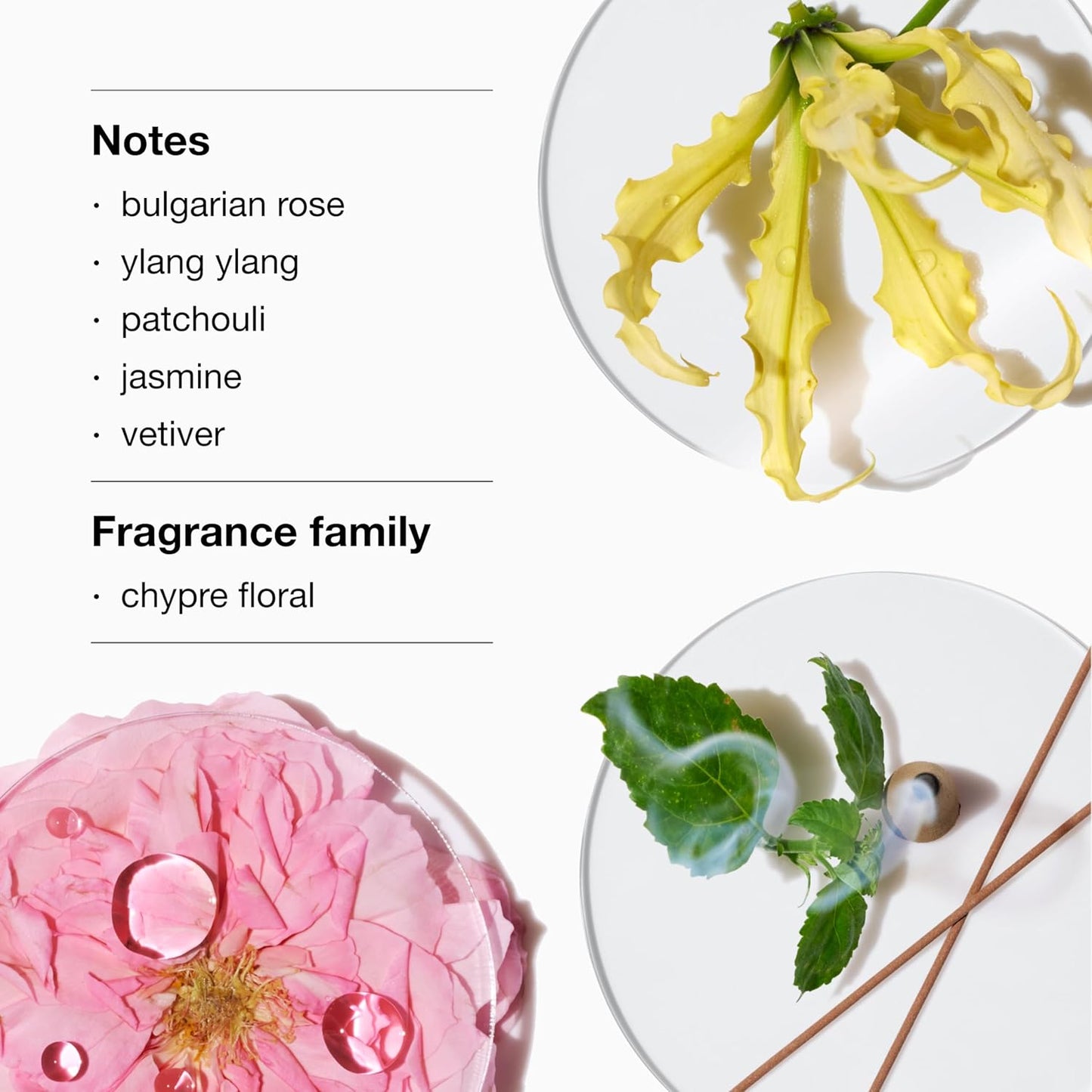 Clinique Aromatics Elixir Eau de Parfum Spray - Floral Notes of Bulgarian Rose, Ylang Ylang & Jasmine | Women's Fragrance